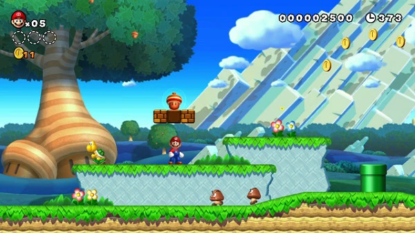 New Super Mario Bros Wii_3