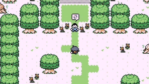 Pokemon X and Y GBA_3